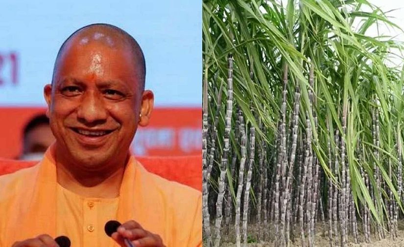 Sugarcane Price Hike in UP