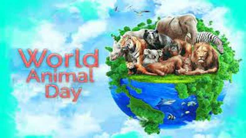 World Animal Day 2021