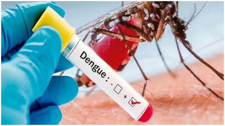 Dengue cases rising in Delhi: राजधानी में डेंगू से पहली मौत,723 मामलों की पुष्टि