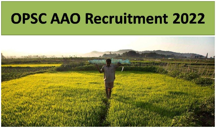 OPSC Recruitment 2022: ओडिशा लोक सेवा आयोग ने AAO के 145 पदों पर निकाली बहाली