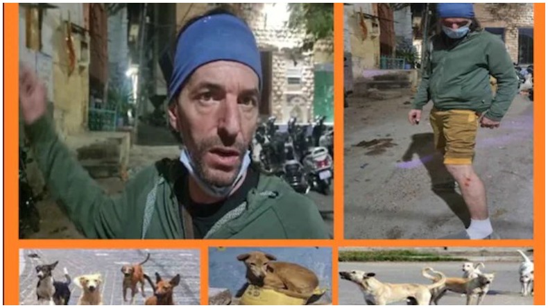 Rajasthan Street Dogs Terror: जोधपुर स्ट्रीट डॉग्स ने बनाया फ़्रांसिसी युवक को शिकार, कोटा में भी बच्चे को किया लहूलुहान