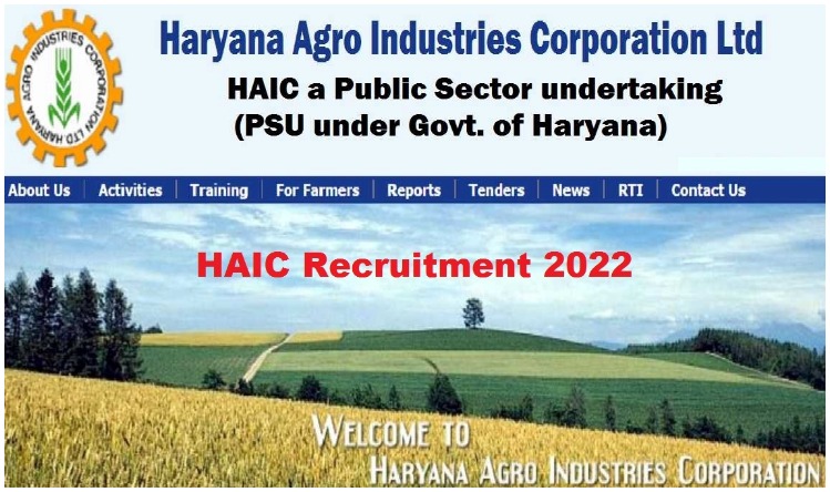 HAIC Recruitment 2022: हरियाणा सरकार की कंपनी में मैनेजर पदों पर भर्तियां, बिना परीक्षा के मिलेगी नौकरी