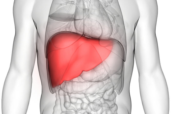 Liver Disease : इन लक्षणों से पहचान सकते है लिवर इन्फेक्शन, जानें..