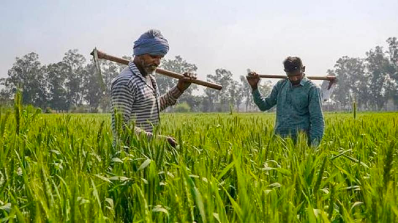 PM Kisan Yojana : जल्द पूरा कर लें ये अपडेट, वरना नहीं आएगी 12वी क़िस्त