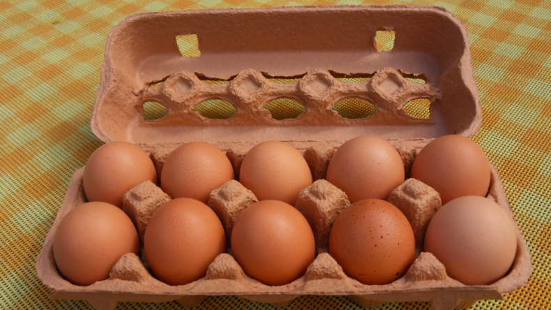 Egg फ्रेश हैं या बासी? ऐसे करें ताजा और पुराने अंडों की पहचान