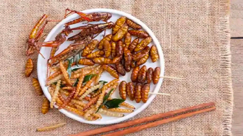 Insects as Food : इस देश में खाने होंगे कीड़े-मकौड़े! सरकार बना रही नियम