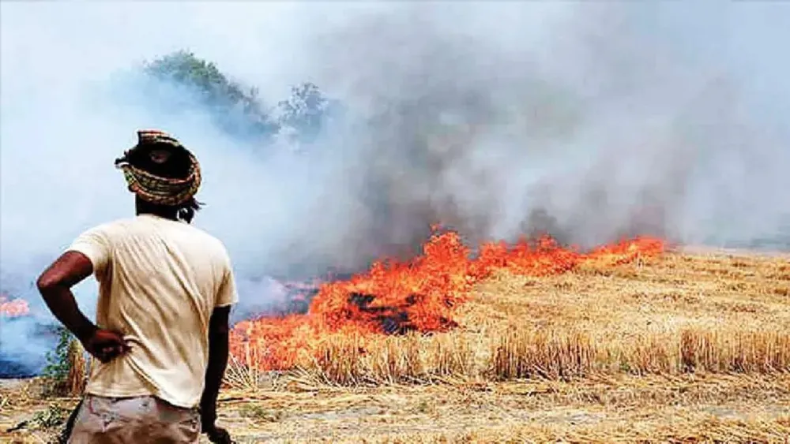 बिहार-झारखंड में पराली जलाने से बंगाल में बढ़ा प्रदूषण, सीमा पर ममता सरकार लगाएगी पेड़