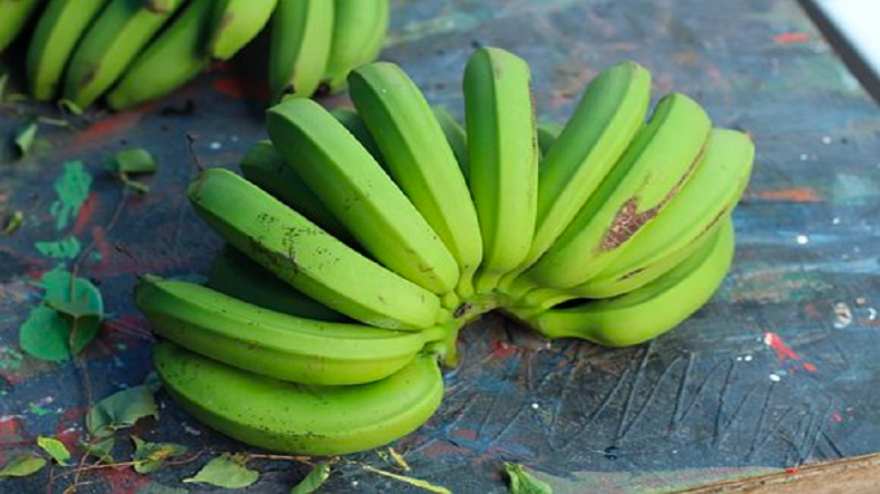 Green Banana Benefits: डायबिटिज वाले भी आराम से खा सकते हैं कच्चा केला, नहीं बढ़ेगी शुगर, हैरान कर देंगे फायदे