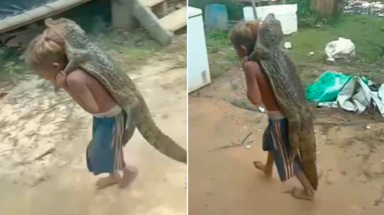 Viral: मगरमच्छ को बोरे के जैसे पीठ पर लादा, छोटे बच्चे की ऐसी दिलेरी देख रह जाएंगे हैरान