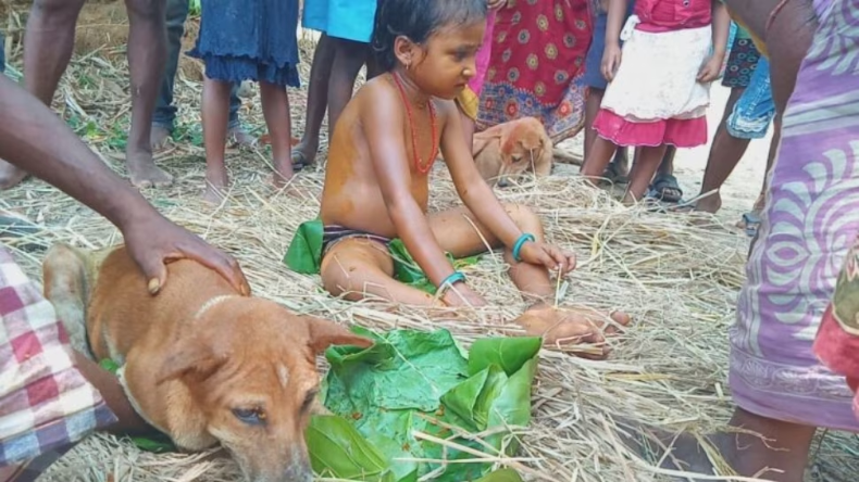 ओडिशा: दो बच्चों की कुत्तों से करा दी शादी, पूरे गांव को दिया भोज, ये कैसा अंधविश्वास