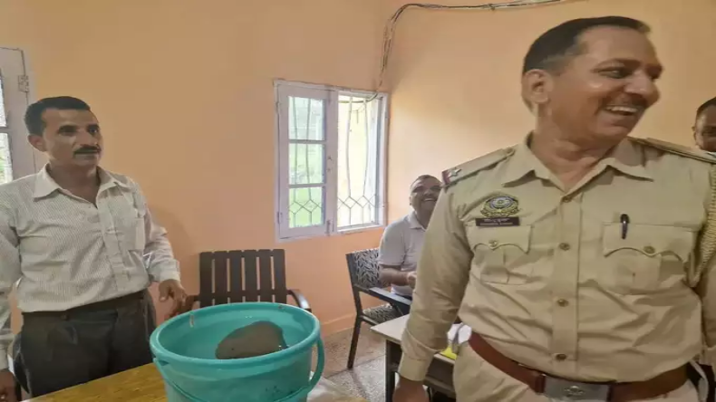 हिमाचल: पानी में तैरता हुआ मिला पत्थर, पुलिस वाले लेकर गए थाने, पूजा करने लगे लोग