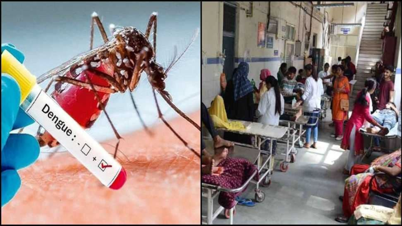 Dengue in Uttrakhand : बारिश के बाद डेंगू ने बढ़ाई उत्तराखंड की मुश्किलें, 24 घंटे में 97 नए मरीज