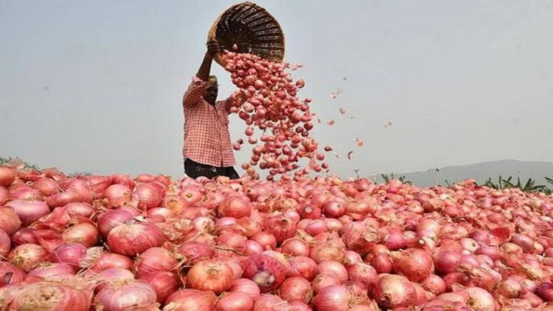 Onion Price: नवरात्रि के बाद प्याज के दामों में तेज उछाल, किसानों को राहत लेकिन खरीदार परेशान