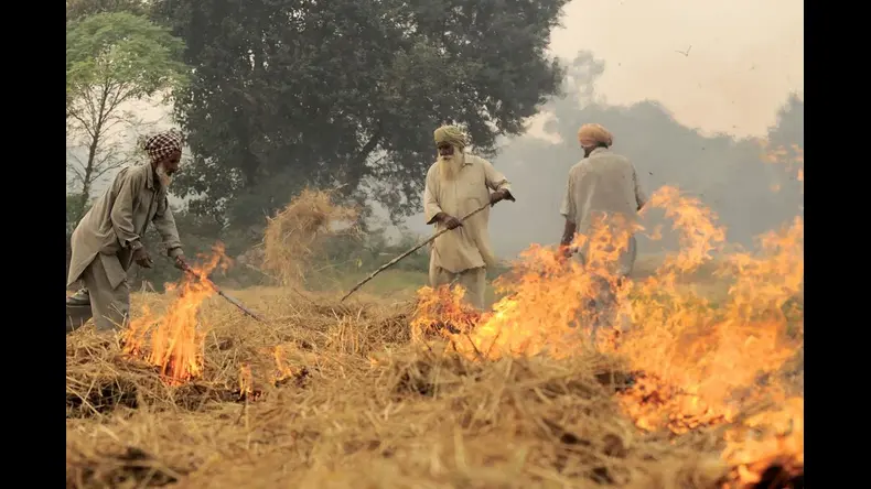 Punjab: पंजाब सरकार के आदेशों की धज्जियां उड़ाते किसान, लगातार जला रहे पराली