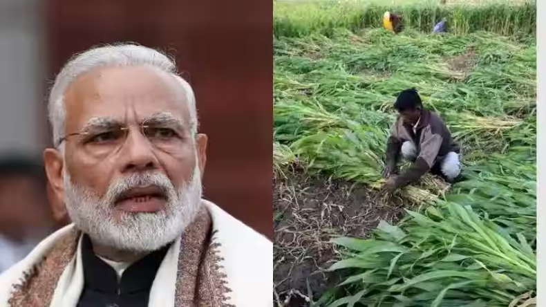 Pm modi: किसानों को दिवाली का तोहफा देंगे पीएम मोदी, 15 नवंबर को जारी करेंगे किसान स्म्मान निधि की 15वीं किस्त