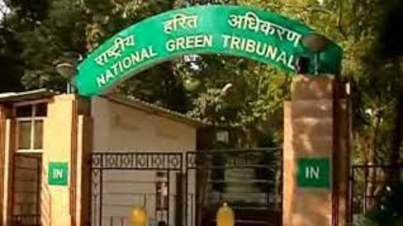 NGT-Pollution: 33,000 पराली जलाने के मामले में ग्रीन ट्रिब्यूनल ने पंजाब सरकार को लगाई फटकार