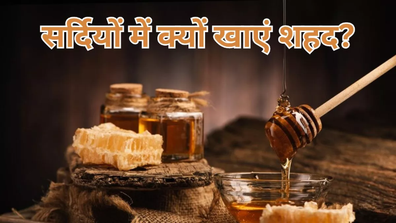 Honey Benefits:  सेहत से लेकर त्वचा तक के लिए फायदेमंद है शहद, जानें सर्दियों में खाने के लाभ