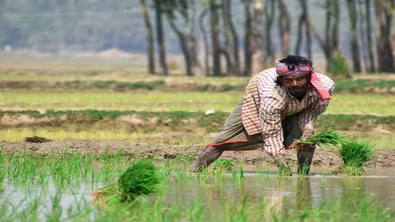 New Year 2024: किसानों के लिए कैसा रहेगा नया साल? पीएम किसान के पैसे बढ़ने के साथ हो सकते हैं ये फैसले