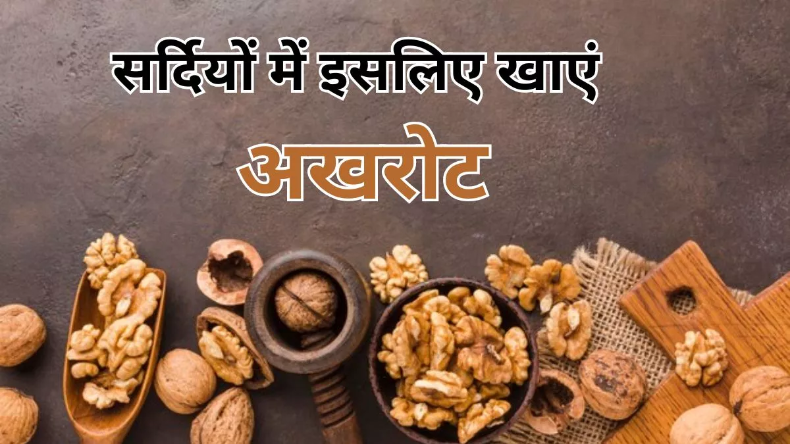 Walnuts Benefits: सर्दियों में हेल्दी रखने का काम करता है अखरोट, जानें इसे खाली पेट खाने के बड़े फायदे