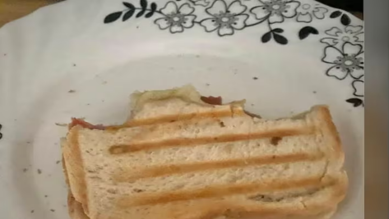 Unique Sandwich: 10 करोड़ रूपए का आधा खाया हुआ सैंडविच, इस शख्स ने दी जानकारी