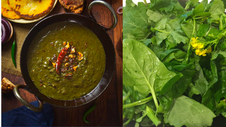 Sarson Saag Benefits: सरसों के साग को इन 5 वजहों से बनाएं अपनी डाइट का हिस्सा