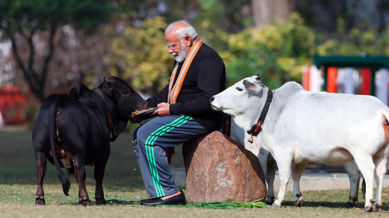 PM Modi Pics: मकर संक्रांति पर पीएम मोदी ने गायों को खिलाया चारा, देखें तस्वीरें