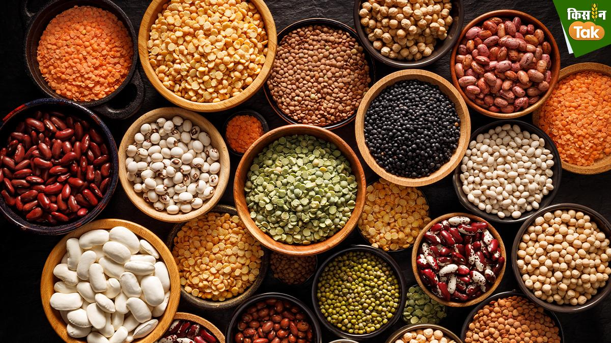 Pulses Production: 2027 तक दालों के उत्पादन में भारत बनेगा आत्मनिर्भर, सरकार ने तैयार किया खाका