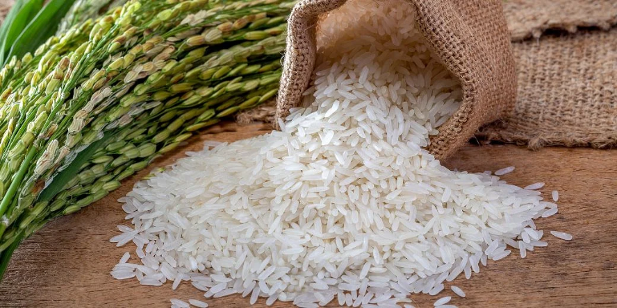 Bharat Rice: कल लॉन्च होगा Bharat Rice, जानिए कहां मिलेगा 29 रुपये किलो का चावल?