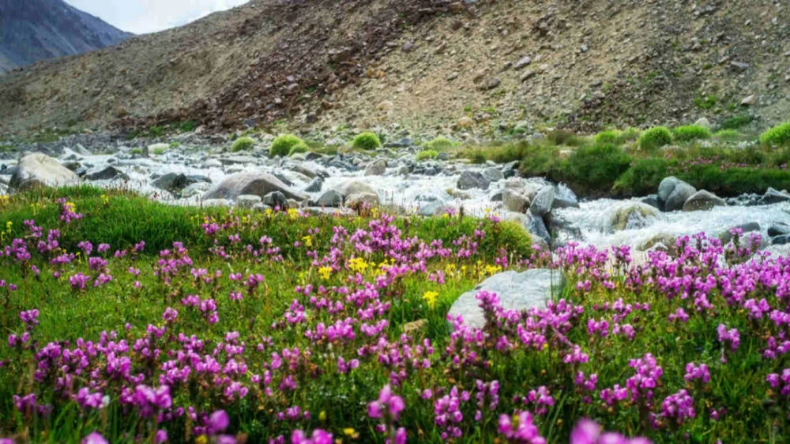 Tourist Places: जानें कौन सी भारत की जगहें जो वसंत ऋतु में हो जाती हैं और भी ज्यादा खूबसूरत