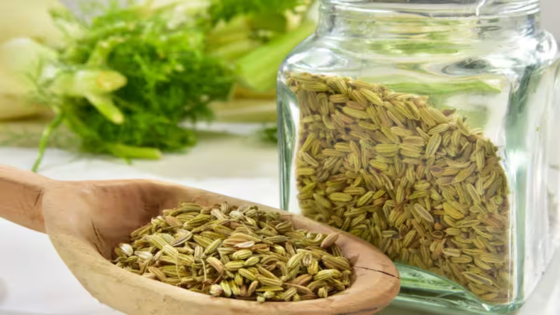 Fennel Seeds Water: सिर्फ सौंफ ही नहीं बल्कि इसके पानी से भी मिलते हैं स्वस्थ को ये लाभ