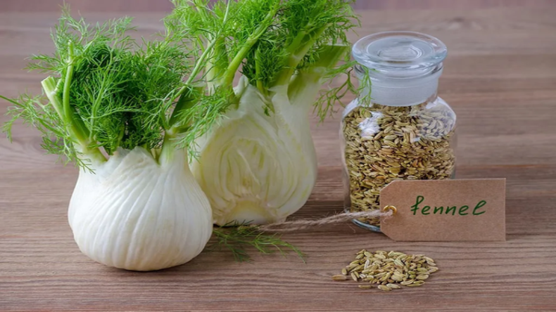 Skin Benefits of Fennel Seeds: चेहरे को चमकदार बनाने के लिए इस्तेमाल करें सौंफ से बने ये फेस पैक