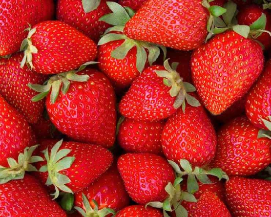 Strawberries: माइक्रोस्कोप से देखने पर स्ट्रॉबेरी में दिखा कुछ ऐसा कि खुल जाएंगी आंखें