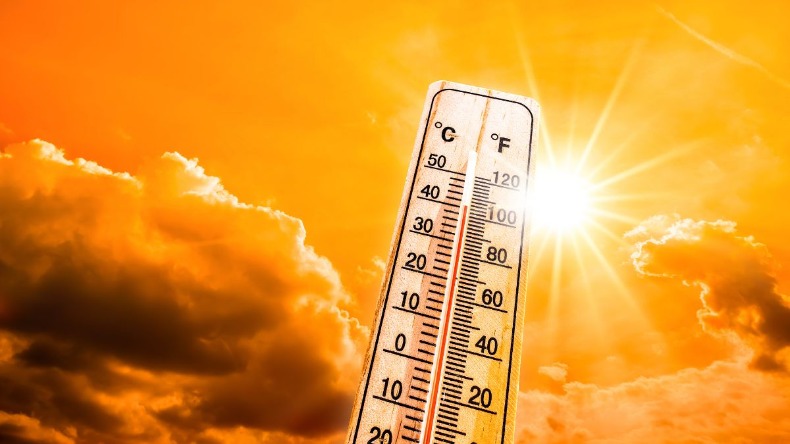 Delhi Heatwave: दिल्ली में जानलेवा गर्मी! आरएमएल अस्पताल के डॉक्टर ने कहा- ‘5 लोगों की मौत’