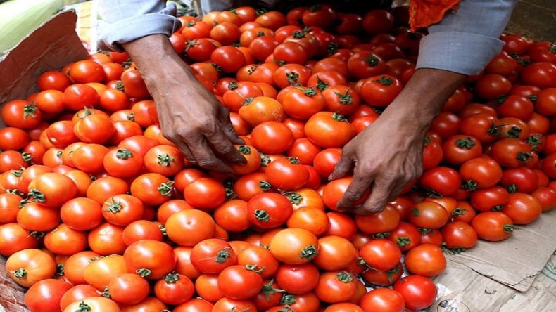 Delhi Tomato Price: दिल्ली में आसमान छू रहीं हैं टमाटर की कीमतें, वजह जान चौंक जाएंगे