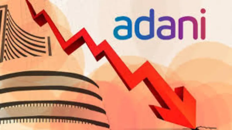 Adani Shares down