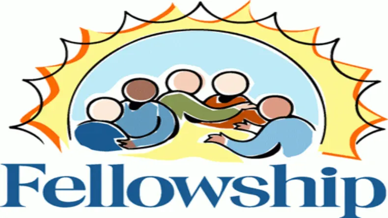 Fellowship Program2024: कैमार्गो फाउंडेशन की फेलोशिप,ऐसे करें अप्लाई