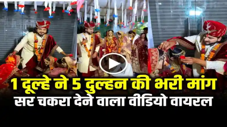 VIDEO: 5 दुल्हन की 1 दूल्हे ने भरी मांग, लिए सात फेरे और खाई साथ रहने की कसम, देखकर चकरा जाएगा सिर