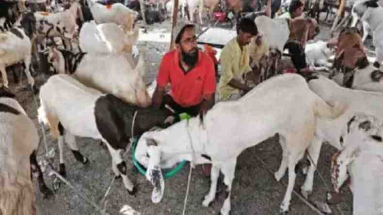 अब मेरा क्या होगा…नहीं मिल रहा है कोई खरीदार, बकरा कारोबारियों पर लॉकडाउन