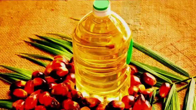 क्यों खानपान की चीजों में इस्तेमाल होता है सस्ता  Palm Oil, जानिए कैसे बनता है ये तेल और इसके दुष्प्रभाव